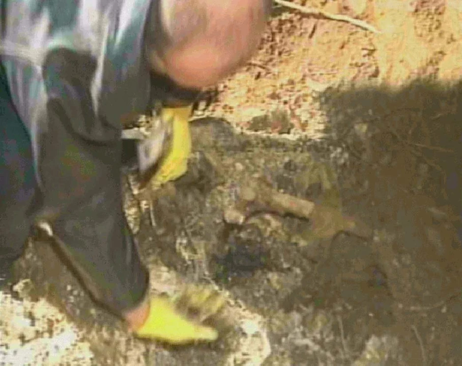 Telo Ivana Stambolića pronađeno je tokom akcije "Sablja"