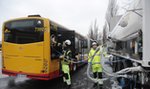 Eco autobusy zawitały do stolicy