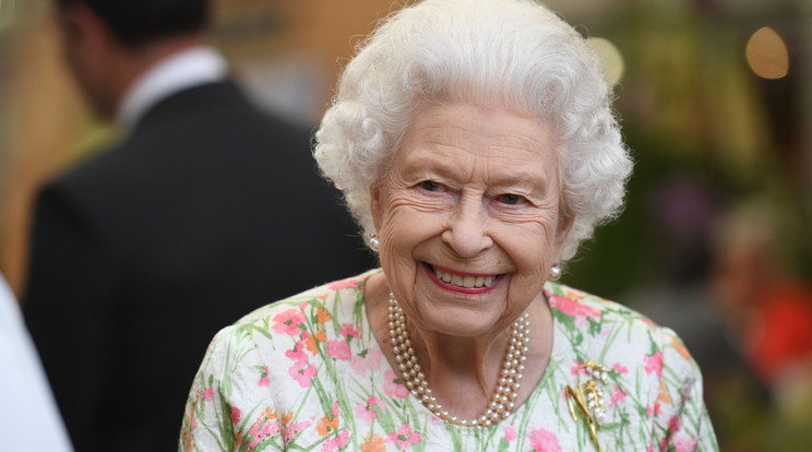 II. Erzsébet újabb corgi fajtájú kölyökkutyát kapott fiától / Fotó: Northfoto