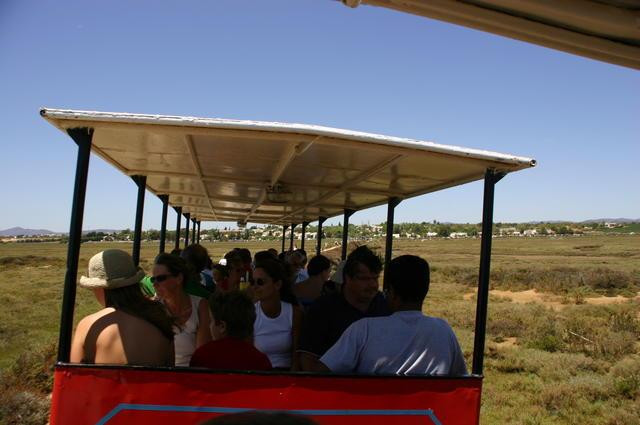 Galeria Portugalia - Algarve - Ria Formosa, obrazek 35