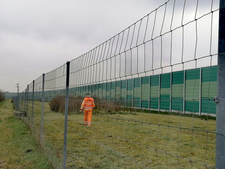 Autostrada A1. Miejsce zderzenia z łosiem w miejscowości Sójki