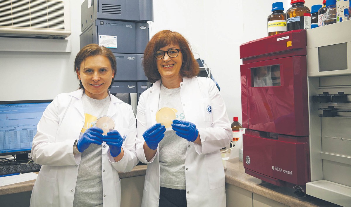 Dr Elżbieta Jagielska i dr hab. Izabela Sabała z Międzynarodowego Instytutu Biologii Molekularnej i Komórkowej w Warszawie