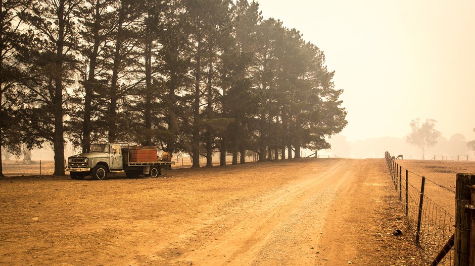 Małżeństwo Tromp prowadziło dobrze prosperująca farmę w jednej z australijskich wiosek (zdjęcie ilustracyjne) - Marta/stock.adobe.com