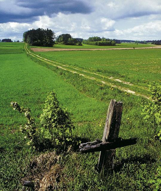 Galeria Polska - Podlasie - Okolice pierwotnej Europy, obrazek 2