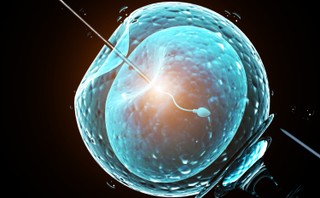 Politycy PO zapowiadają obywatelski projekt dot. refundacji  in vitro