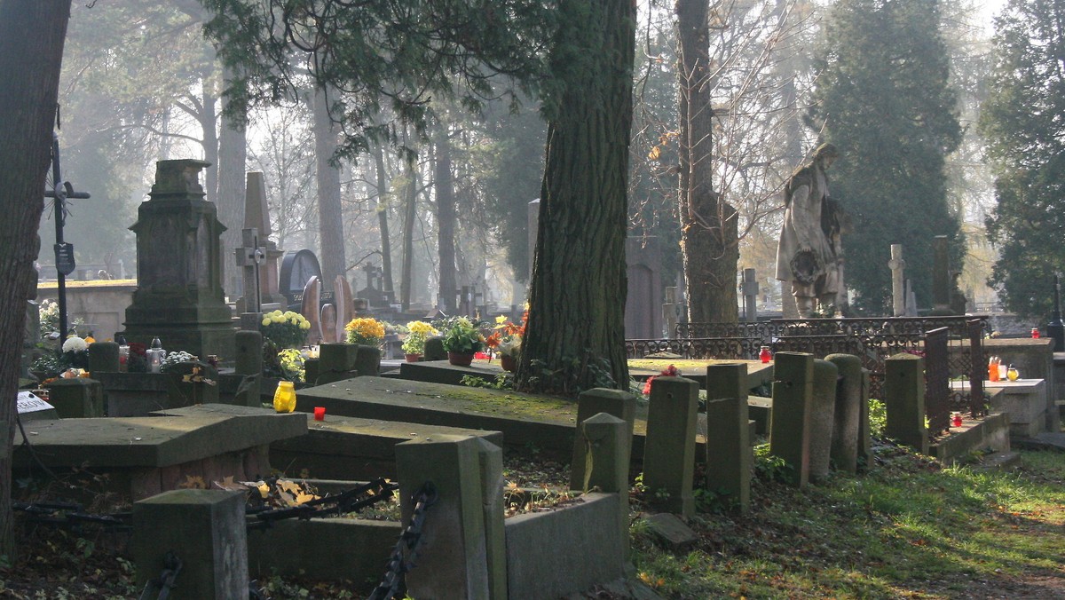 Toruń zachęca do jeżdżenia w Święto Zmarłych bezpłatną komunikacją miejską. Ci, którzy zdecydują się na podróż samochodem, będą musieli się liczyć z utrudnieniami w ruchu. W środę będzie można jednak parkować bezpłatnie.