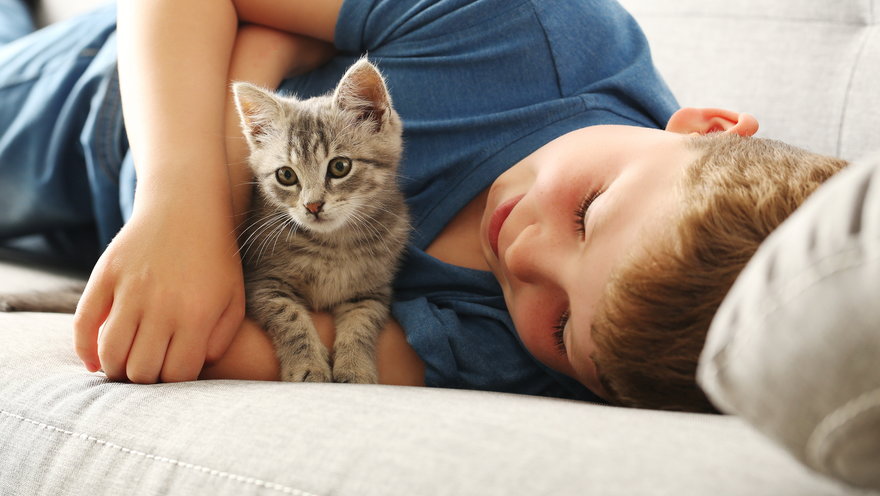 Co musi zrozumieć dziecko, zanim przygarniemy kota?