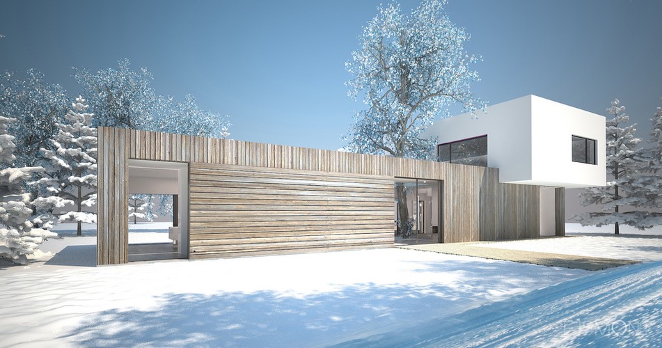 Dom modernistyczny, drewniana okładzina - projekt Ejsmont