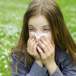 Asztma is kialakulhat, ha nem figyelünk az allergiára