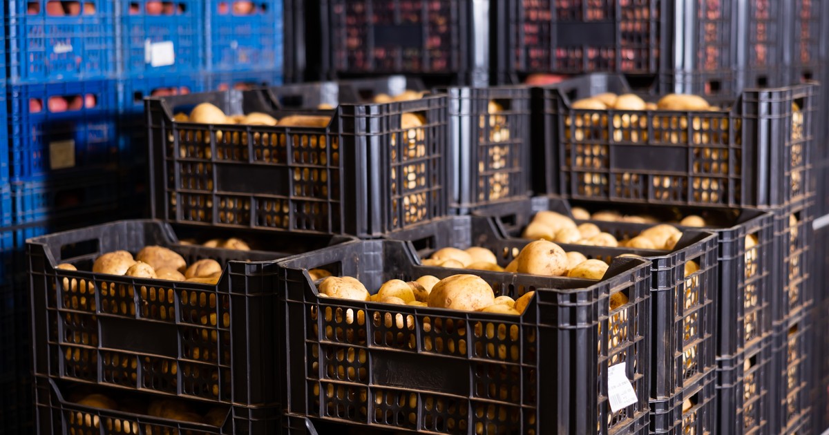 Tony warzyw zalegają w magazynach w Polsce. Rolnicy w panice przed nowym sezonem