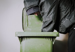 djubre shutterstock_1258056601