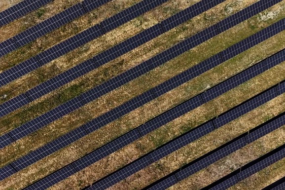 Naftaši i zelena agenda: Kako kompanije i zajednica zajedno doprinose zaštiti životne sredine