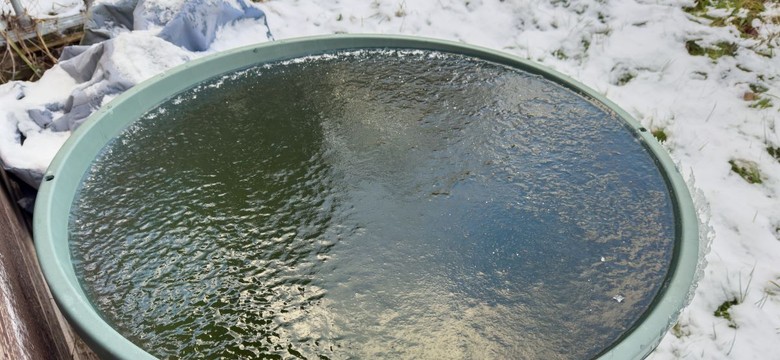 4000 zł na deszczówkę. Nabór wniosków rusza już 15 stycznia