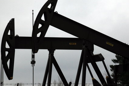 Ropa będzie drożeć w maju. Kluczową rolę znów odegra kartel OPEC