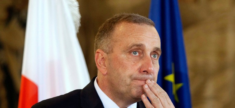 Schetyna łagodzi stanowisko? Grupa Wyszehradzka jeszcze podzielona w sprawie Ukrainy