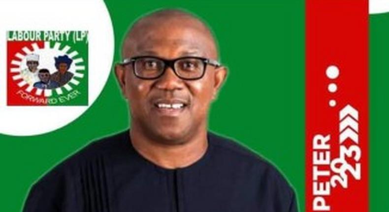 Peter Obi, Presidential candidate of the Labour Party (Leadership)
