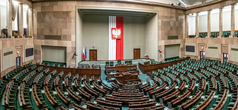 Chipowanie psów ważniejsze od zakazu fajerwerków. Sejm zajmie się tym w pierwszej kolejności
