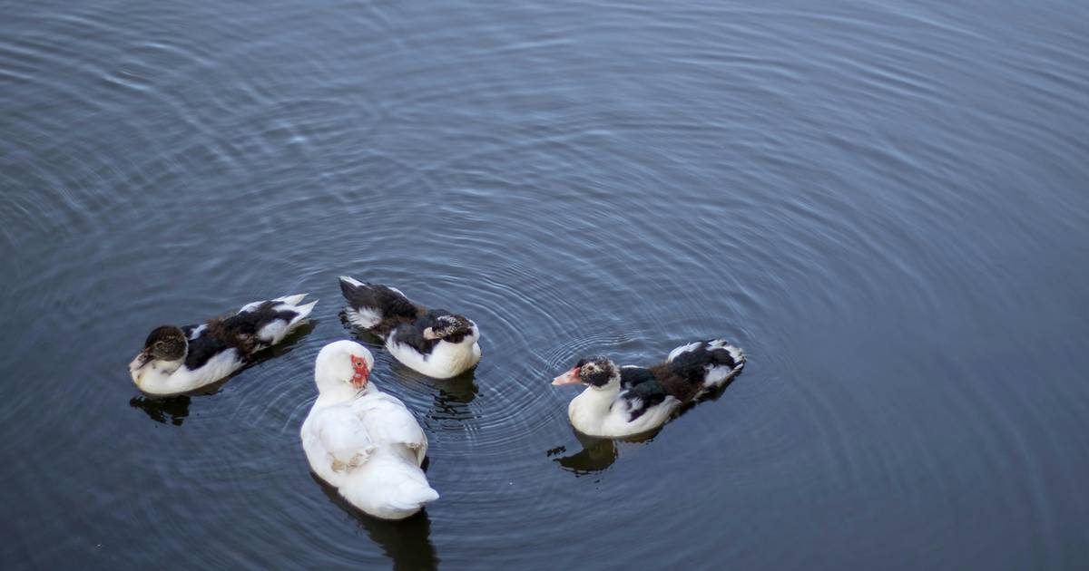 Quiz dla ciekawskich: 10 pytań z różnych dziedzin