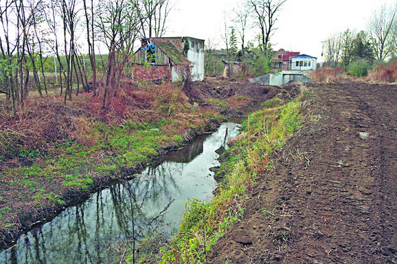 Nera je jedina planinska reka u Vojvodini, stiže sa rumunske planine Semenik koja je deo Karpata