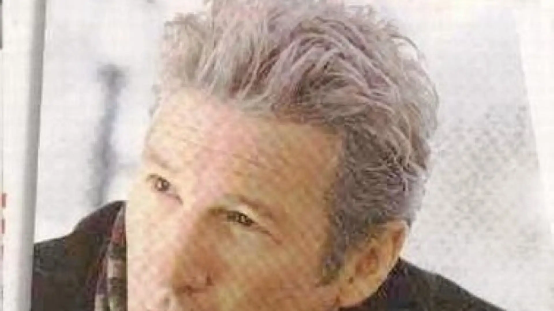 Richard Gere - Albumy fanów