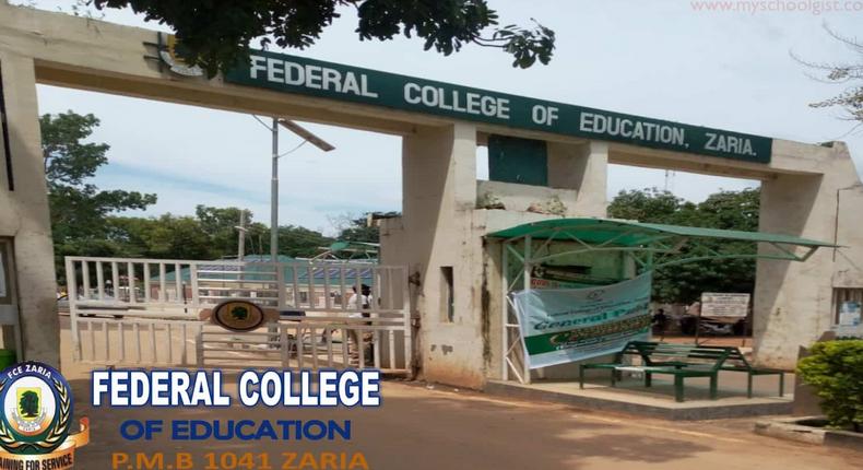 FCE, Zaria sets committee to investigate 12 students suspected to be cultists [myschoolgist]