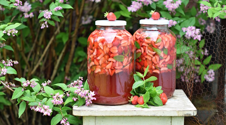 Rupáner-konyha: Eperlikőr recept házilag Fotó: Rupáner-Gallé Margó