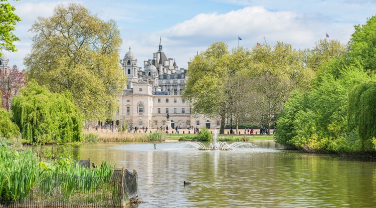 Buckingham-palota alkalmazottja elmesélte, hogy él Fotó: Getty Images