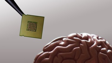 dzięki plastyczności mózgu można leczyć padaczkę, depresję i uzależnienia? nowy projekt badawczy