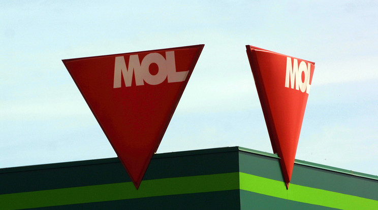 A Mol és az NKM Energia Zrt. egészségügyi intézményeken segít / Illusztráció: Northfoto