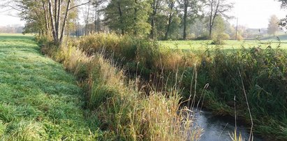 Ciało noworodka wyłowione z rzeki. Wstrząsające wyniki sekcji