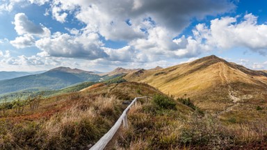 Bieszczady: pogoda i turyści sprzyjają wypasowi owiec