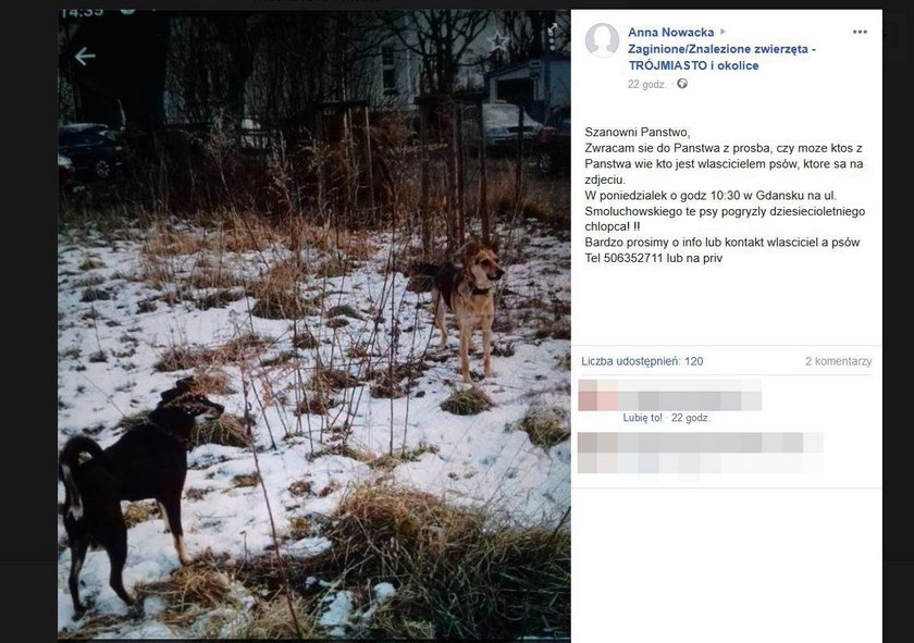 9-latek pogryziony przez psy w Gdańsku. Matka prosi o pomoc