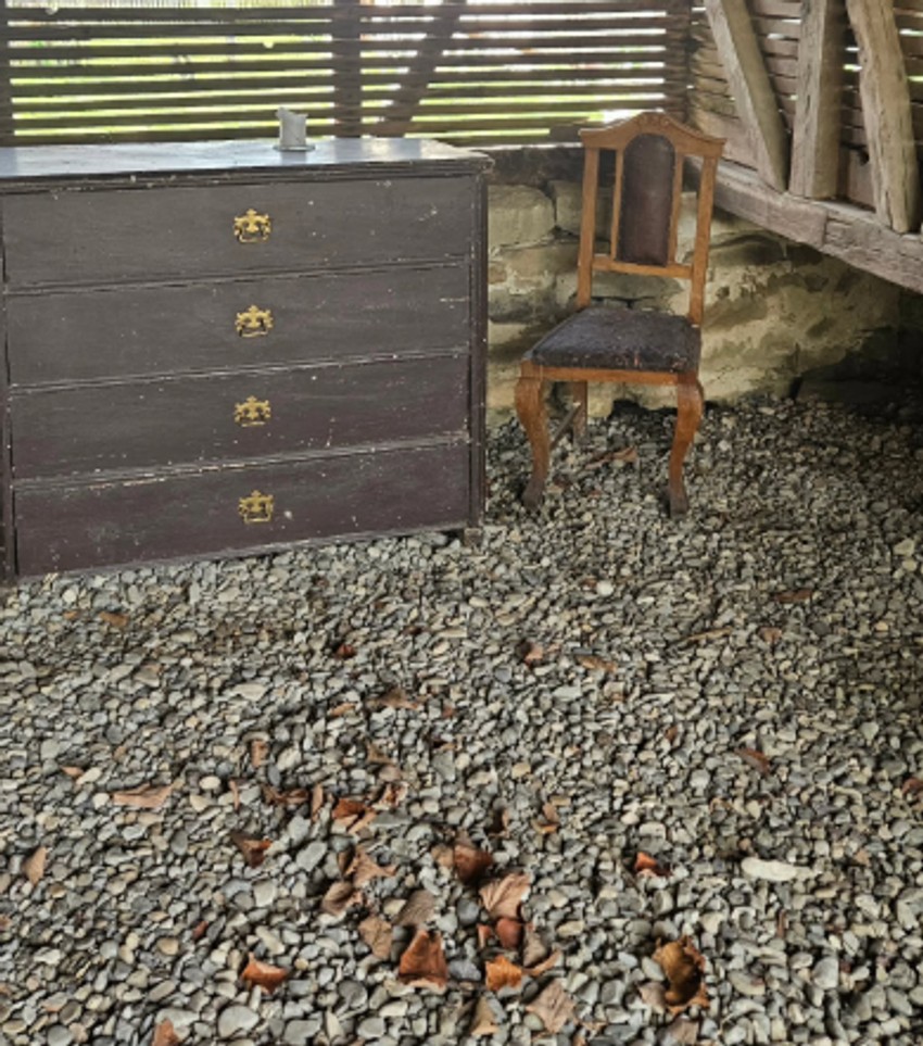 Mirjana Bobić Mojsilović kuća na selu