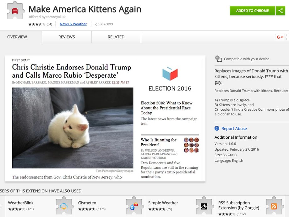 Chrome Store: "Make America Kittens Again"