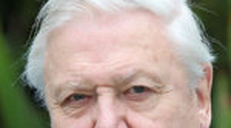Gyilkosság áldozatát rejtette David Attenborough kertje