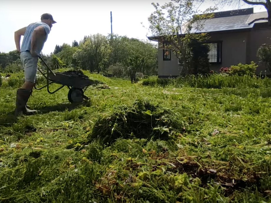 McAskill pracuje w zarośniętym ogrodzie. 