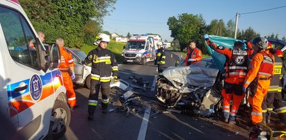 Tragedia na DK 79. Nie żyje młoda kobieta. Dzik wbiegł pod koła?