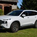 Hyundai Santa Fe 1.6 T-GDI HEV - spodoba się także w Europie