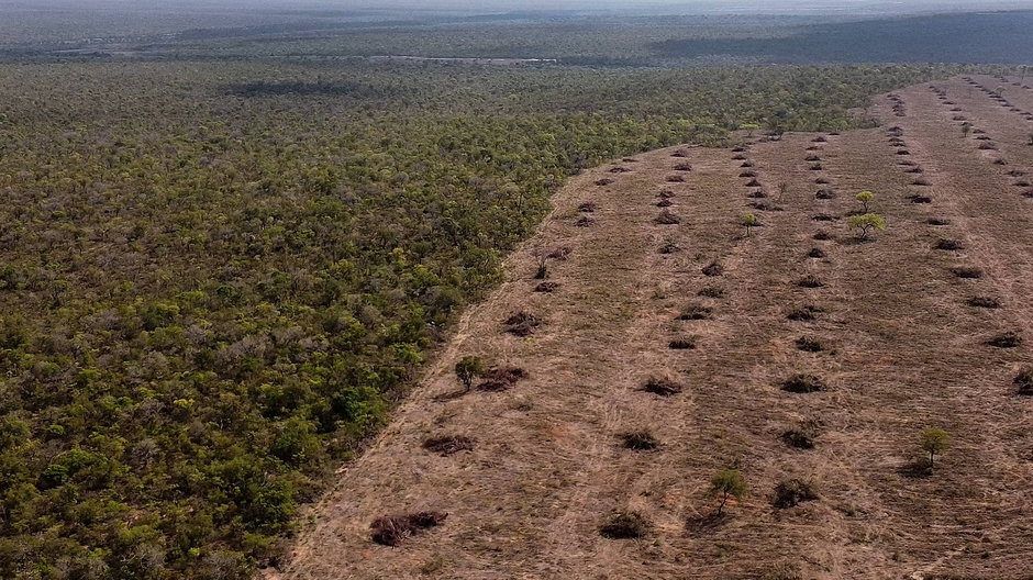 Cerrado (na zdjęciu – widok z lotu ptaka 25 września 2023 r.) Fot. Florence Goisna