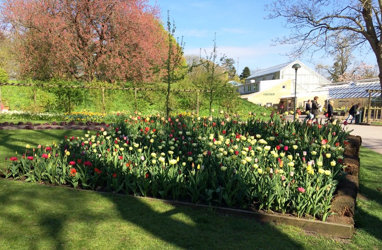 Ogród botaniczny w Lund