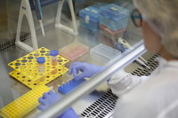 Új gyógymód bevezetésére adtak engedélyt Magyarországon a koronavírus okozta betegségek ellen