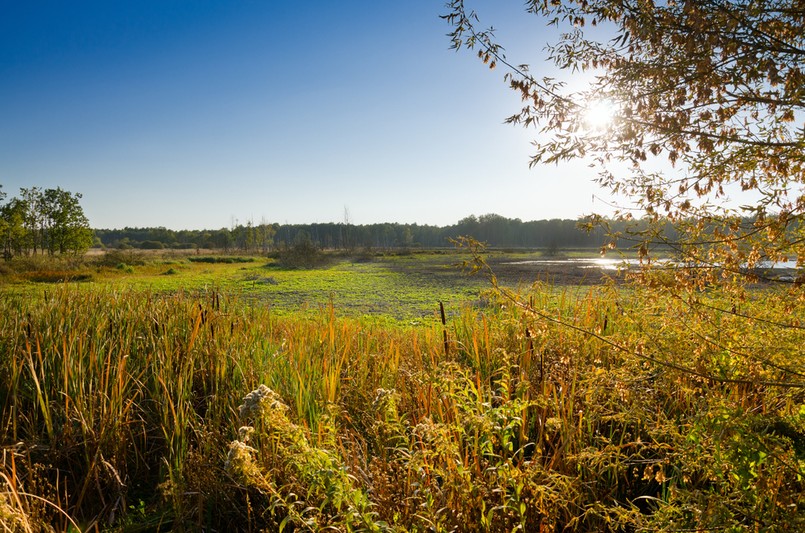 Mazowiecki Park Krajobrazowy