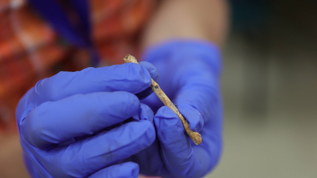 Odnaleziono najstarszy instrument dęty na Bliskim Wschodzie. Ma 12 tys. lat