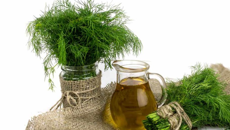 5 health benefits of dill you didn't know [ARTICLE] - Pulse Ghana