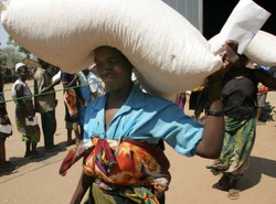 W stolicy afrykańskiego Malawi chichoczą hieny