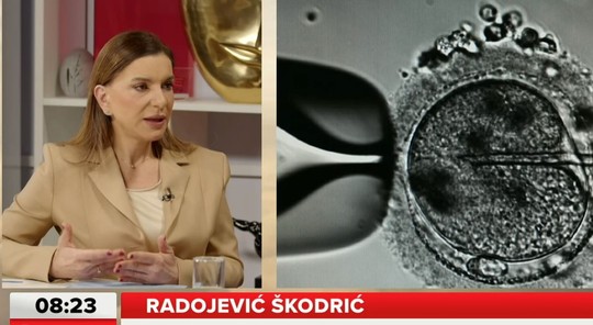 Sanja Radojević Škodrić