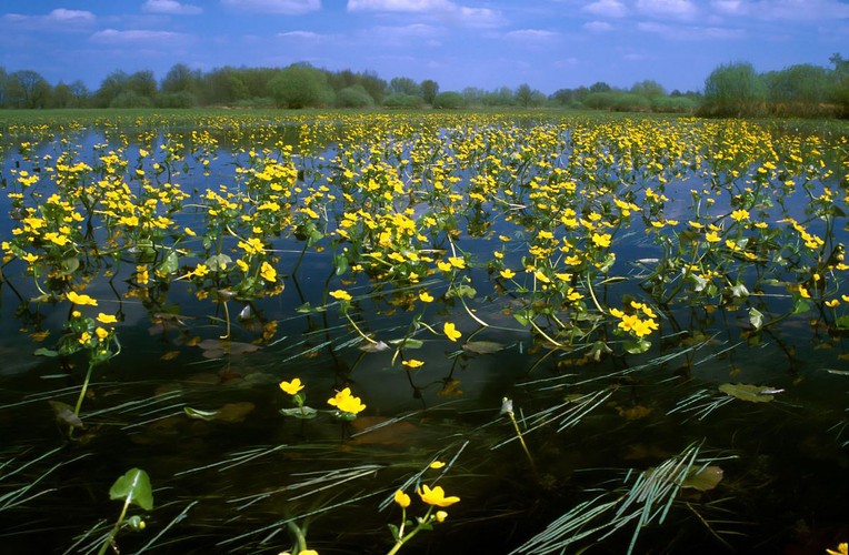 Najpiękniejsze krajobrazy Polski