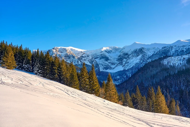 Barania Gora Jak Wejsc Na Szczyt Wybrane Szlaki Turystyczne Dla Doroslych I Dzieci Podroze