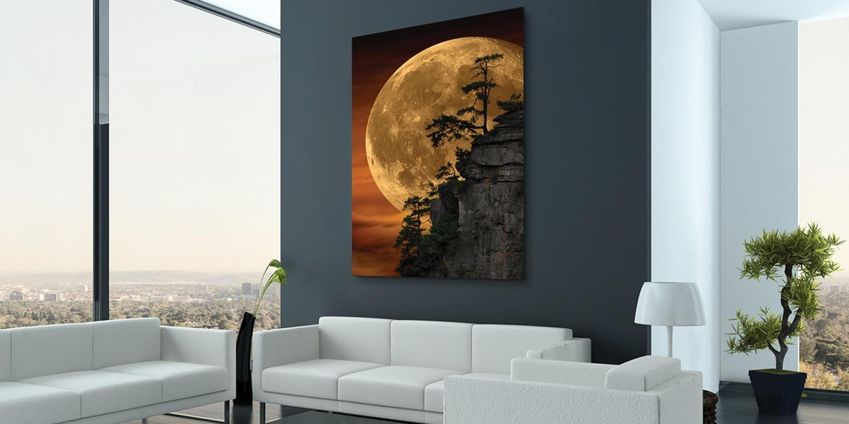 "Moonlit Dreams"