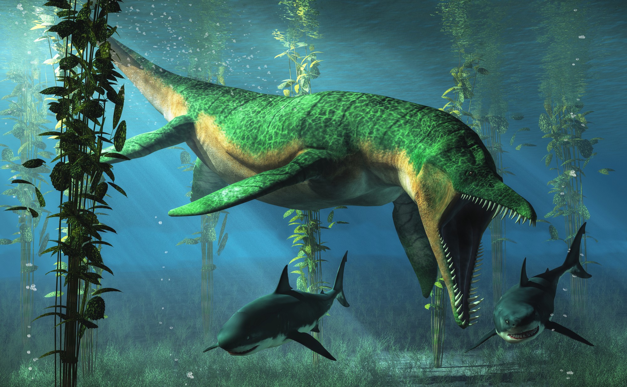 Liopleurodon